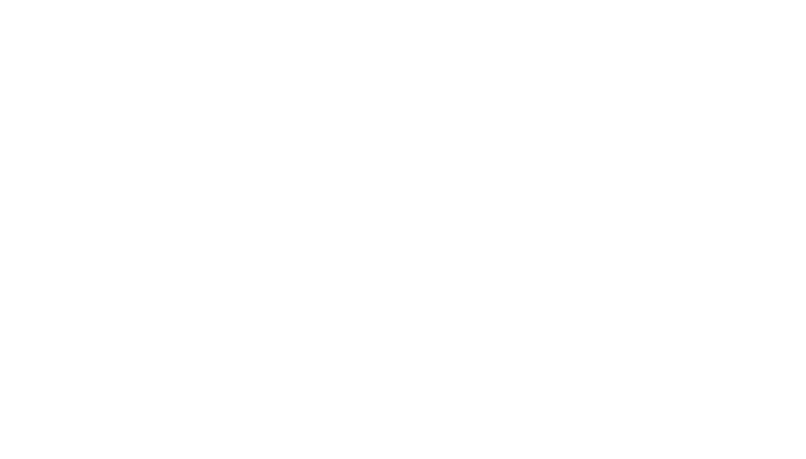 Blissy Danmark